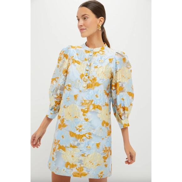 Tuckernuck Pomander Place Jessamine Jacquard Samantha Dress Sz M - Picture 1 of 5
